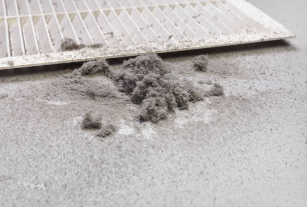 Best Best Air Duct Cleaning Company  in Orangetree, FL