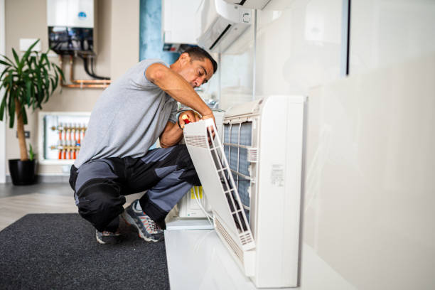 Best Air Duct Sanitizing Services  in Orangetree, FL