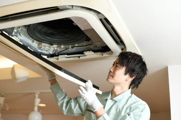 Best Air Duct Cleaning Near Me  in Orangetree, FL