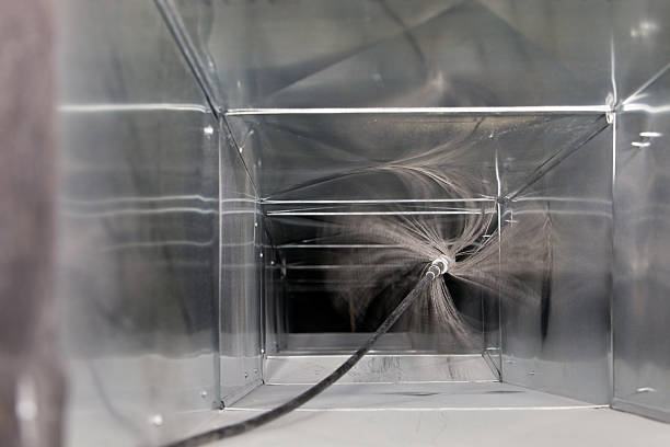 Best Professional Duct Cleaning Services  in Orangetree, FL